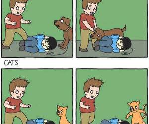 dogs vs cats funny picture