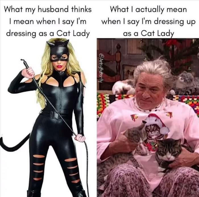 dressing as a cat lady