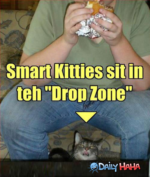 Drop Zone funny picture