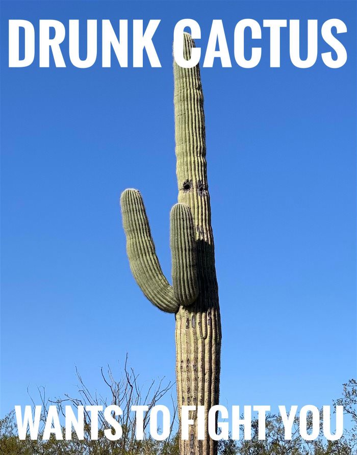 drunk cactus