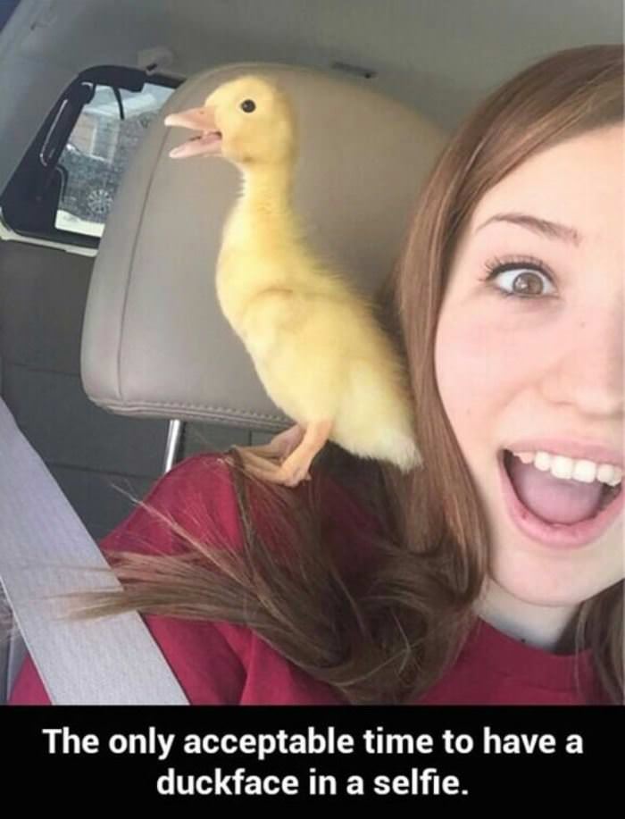 duckface selfie funny picture