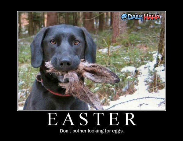 Easter Egg Killer
