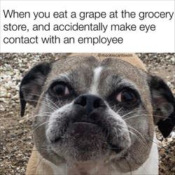 eat a grape