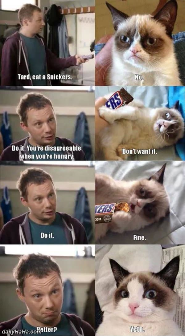 eat a snickers funny picture