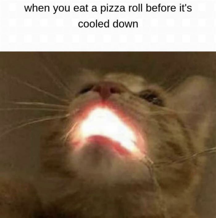 eating a pizza roll