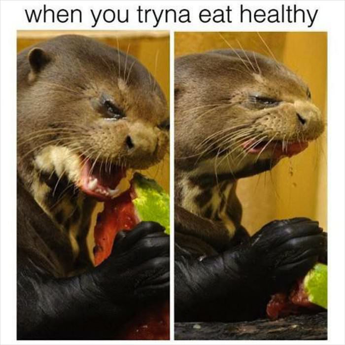 eating healthy ... 2