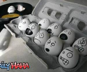 egg faces