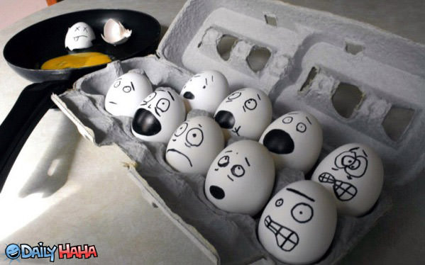 Eggs are Scared Picture