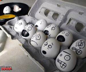 Eggs are Scared Picture