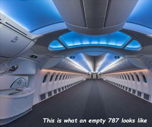 empty 787