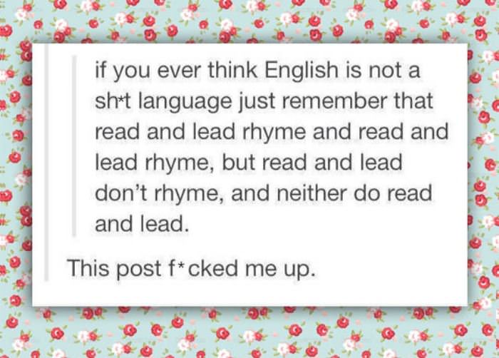 english funny picture