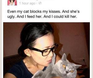 Even the Cat Blocks funny picture