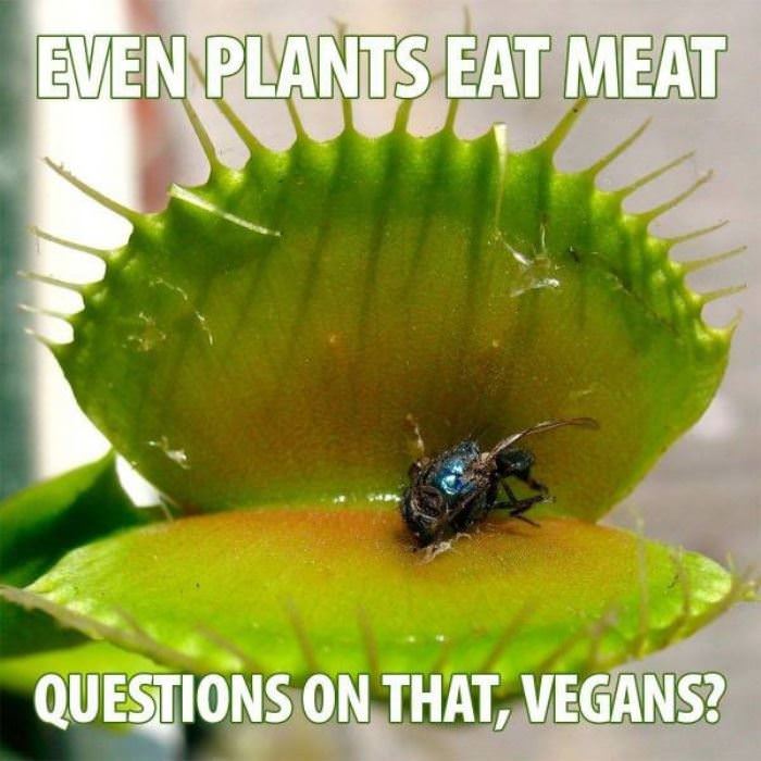 even plants eat meat funny picture