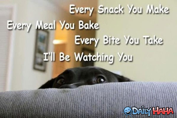Every Snack funny picture
