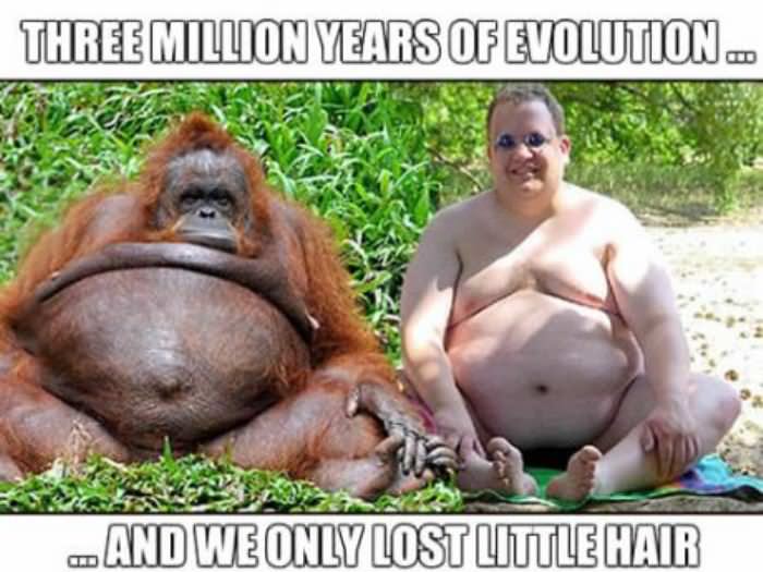 evolution funny picture