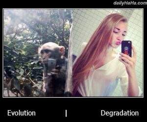 evolution funny picture