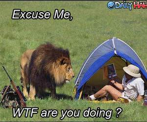 Excuse Me Lion funny picture