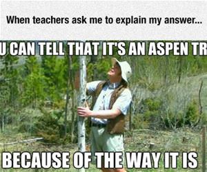 explain your answer funny picture