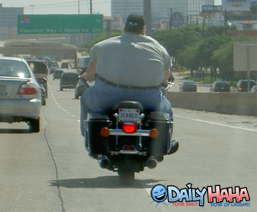 Fat Guys On Bikes 36