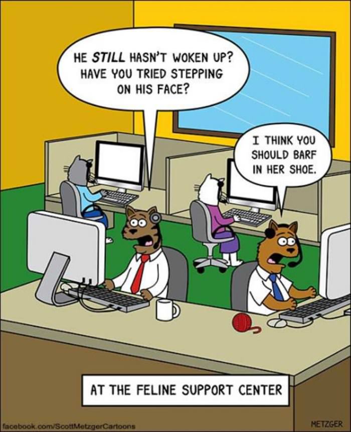 feline support center funny picture