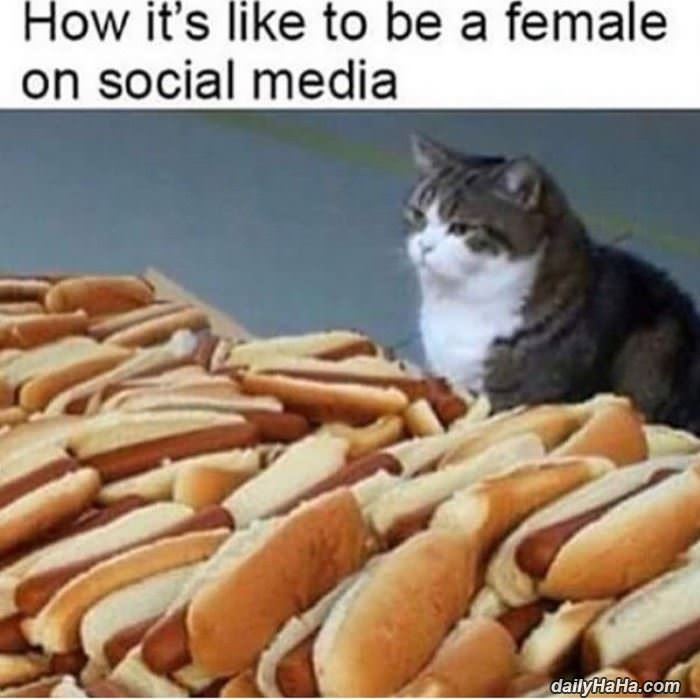 female on social media funny picture