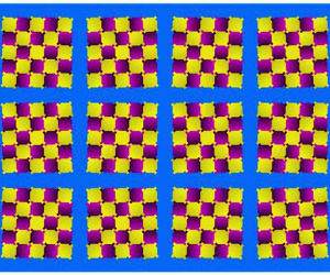 Floating Squares Illusion
