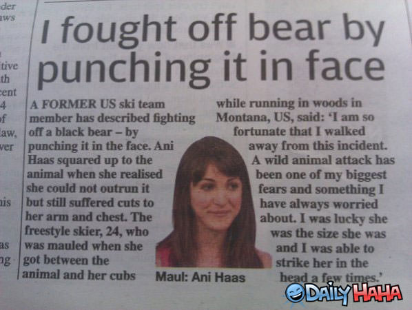Bear Fight funny picture