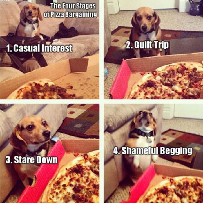 four stages of pizza bargaining funny picture