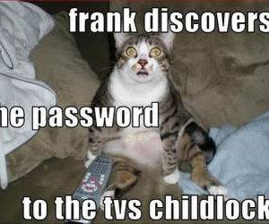 Frank Discovers Password funny picture