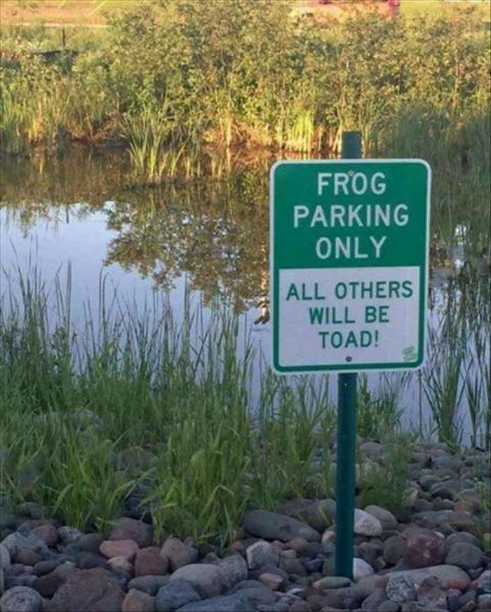 frog parking only