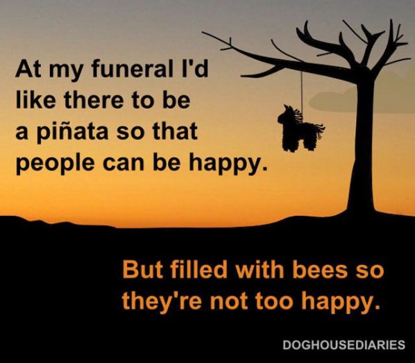 My Funeral Wish funny picture