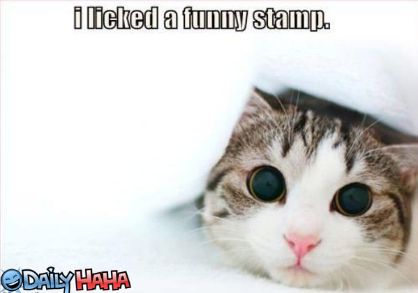 Funny Stamp funny picture