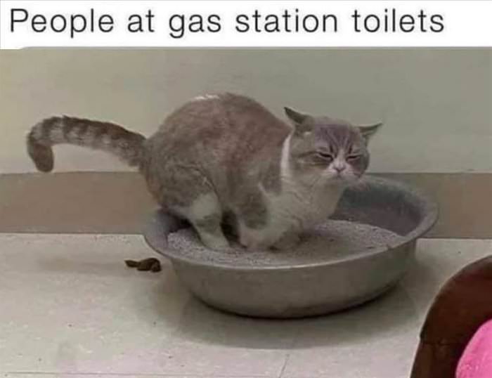 gas station toilet
