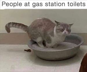 gas station toilet