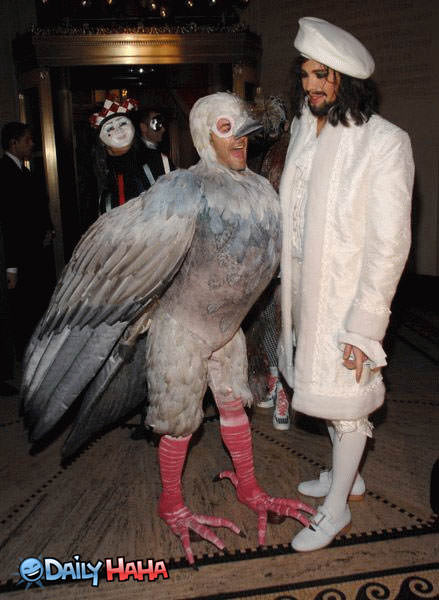 Gay Chicken Costume