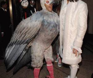 Gay Chicken Costume