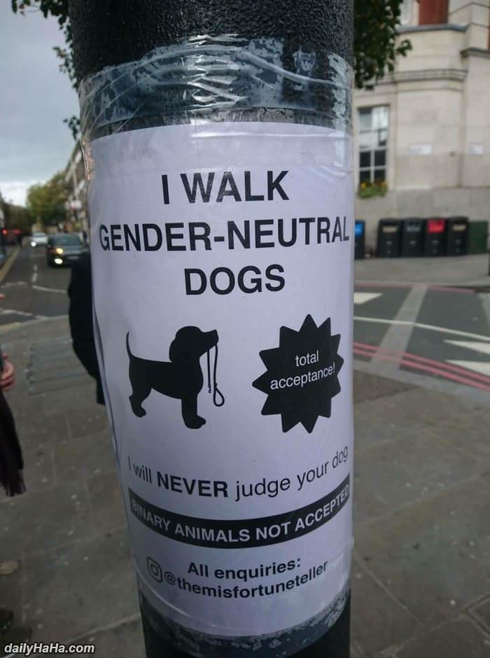 gender neutral dogs funny picture