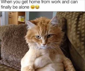 get home from work