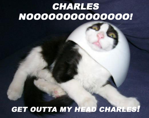 Charles NOOOOO