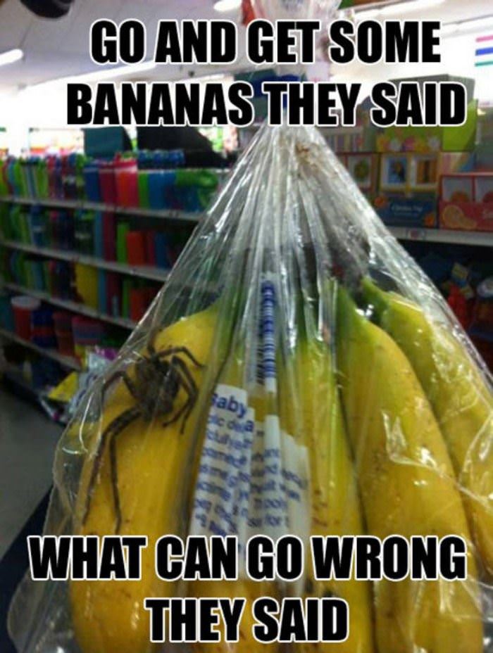 get some bananas funny picture