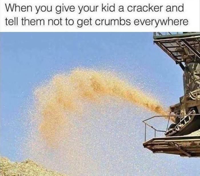 getting crumbs everywhere