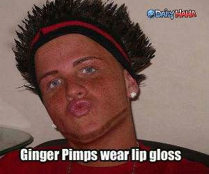 Ginger Pimps - Funny Pictures