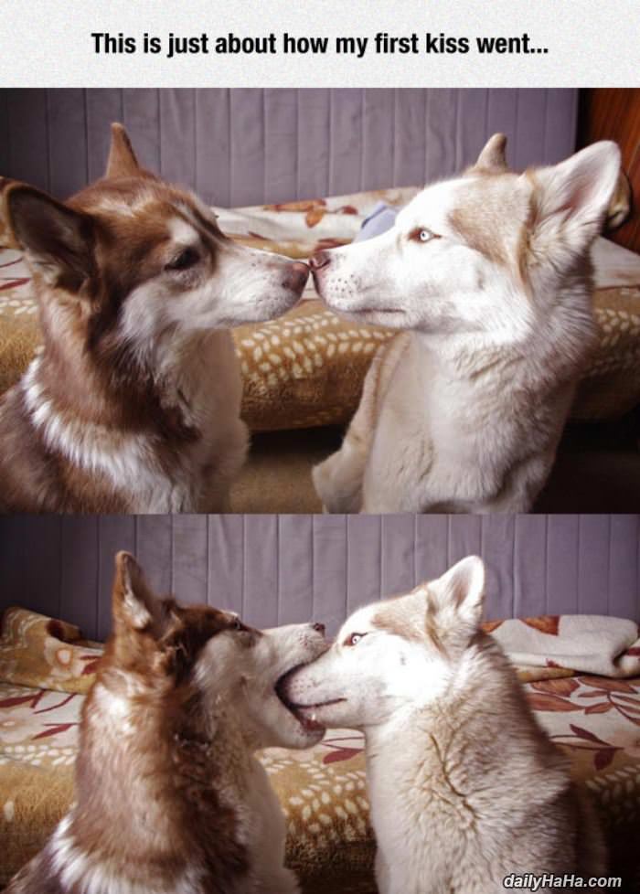 going in for a kiss funny picture