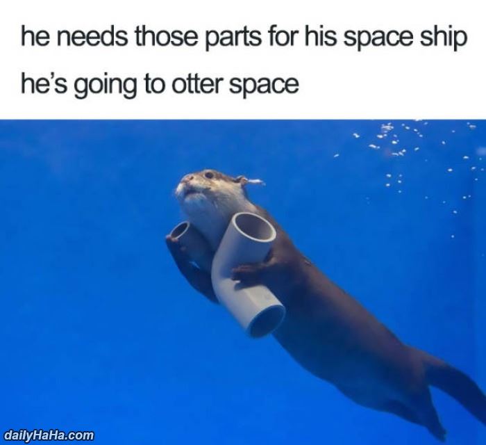 going to otter space funny picture