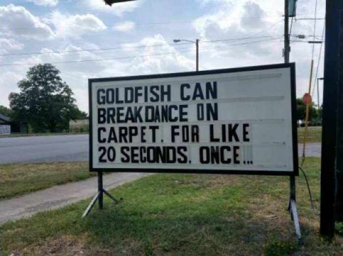 goldfish can breakdance