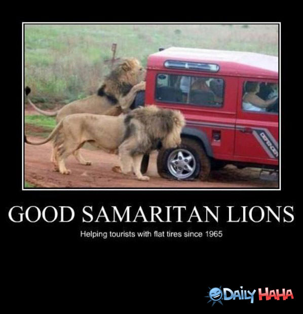 Good Samaritans funny picture