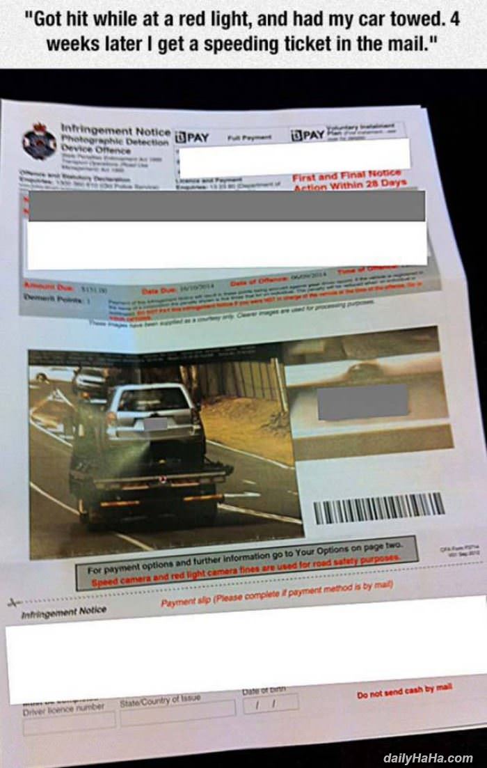 got this speeding ticket funny picture