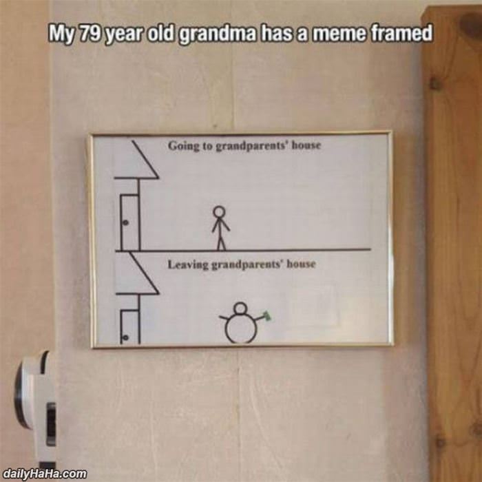 grandma has a meme framed funny picture
