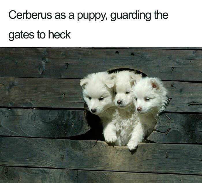 guarding the gates ... 2