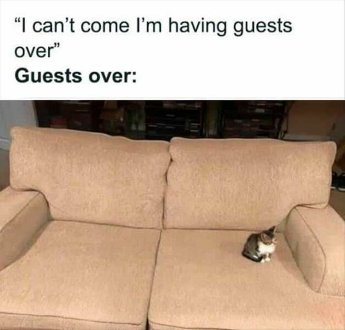 guests over ... 2